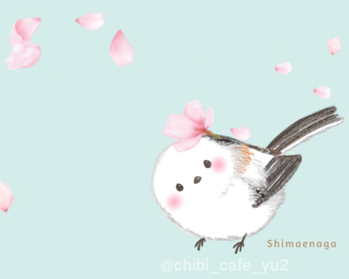 シマエナガの絵 ふわふわシマエナガ🤍🤍 #イラスト#絵 #オリジナル #創作