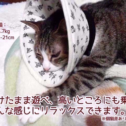 洗える猫用エリザベスカラー【オレンジ小花】 4枚目の画像