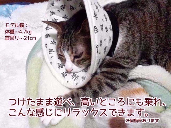 洗える猫用エリザベスカラー【オレンジ小花】 4枚目の画像