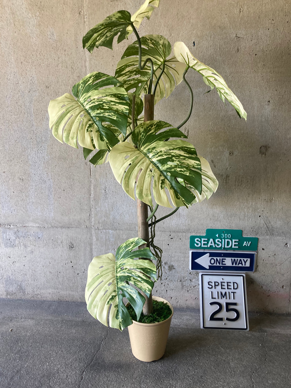 光触媒 人工観葉植物 ウォールグリーン フェイク フラワー 斑入り