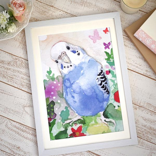 セキセイインコのポスター A3版 水彩画 オリジナルイラスト