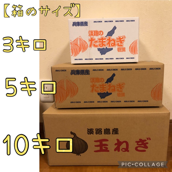 【淡路島産 新玉ねぎ】 ５kg 淡路島 6枚目の画像