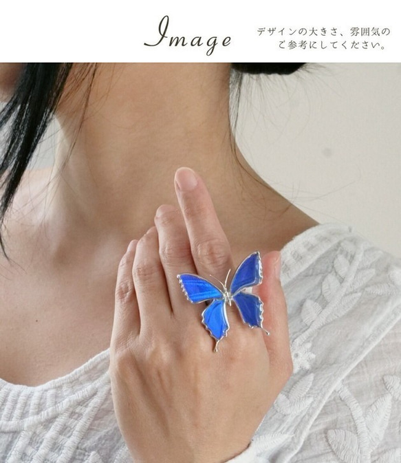 本物の蝶の羽　蝶リング　キプリスモルフォ　[zps002r-cyp] 5枚目の画像