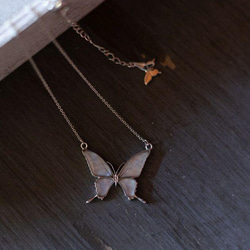 本物の蝶の羽　両吊りタイプ蝶ネックレス　スルコウスキーモルフォ　[zps028wr-sul] 2枚目の画像