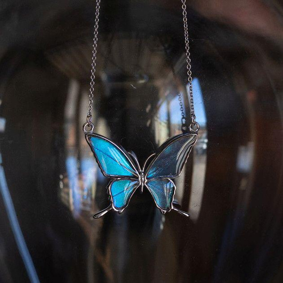 本物の蝶の羽　両吊りタイプ蝶ネックレス　ゼフィリティスモルフォ　[zps028wr-zep] 2枚目の画像