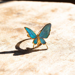 本物の蝶の羽　舞蝶リング　フリーサイズ　ゼフィリティスモルフォ　[zps033g-zep] 3枚目の画像