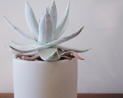 538b194a5cd2ebf0561e1689b27e51