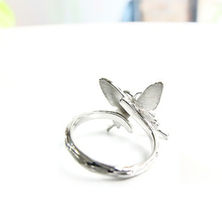 本物の蝶の羽　アゲハ蝶リング（フリーサイズ）　ゼフィリティスモルフォ　[zps050r-zep] 4枚目の画像