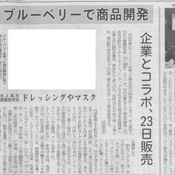 アイマスク 市松チェック わかさ生活 ブルーベリー 旅行 おしゃれ リラックス 温感 目のケア 天然染め 母の日 13枚目の画像