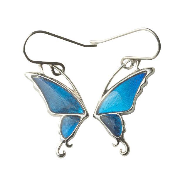 本物の蝶の羽　片羽蝶ピアス　カキカモルフォ　[zps052r-cac]