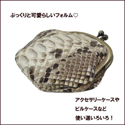 Gamaguchi Snake Leather Snake Leather Python Bellows 亮面米色零錢包迷你包 第4張的照片