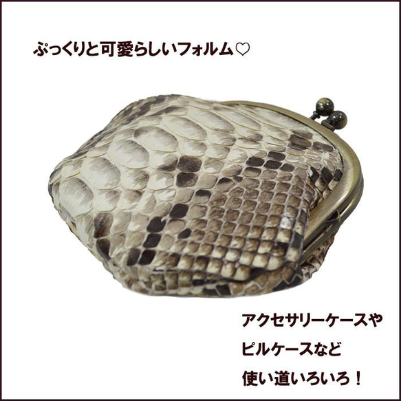 Gamaguchi Snake Leather Snake Leather Python Bellows 亮面米色零錢包迷你包 第4張的照片