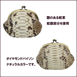 Gamaguchi Snake Leather Snake Leather Python Bellows 亮面米色零錢包迷你包 第2張的照片