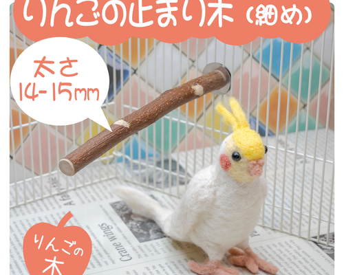 インコちゃんの✩.*˚りんごの止まり木 シンプルパーチ細め 14