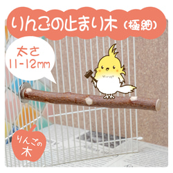 インコちゃんの✩.*˚ゆらゆら リンゴのゆりかご お好きな形で使えます