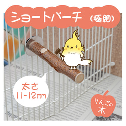 インコちゃんの✩.*˚りんごの止まり木 ショートパーチ太め 17-18mm