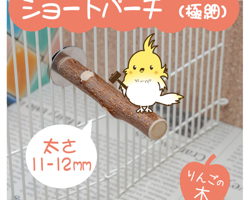 インコちゃんの✩.*˚りんごの止まり木 ショートパーチ極細 11-12mm