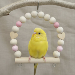 日本製 セキセイインコ インコ 鳥 ブランコ 塗料ニス不使用 TC80