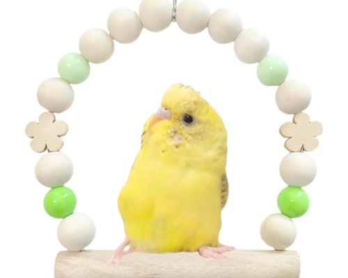 日本製 インコ 鳥 ブランコ 安心安全素材 塗料不使用 ステンレス製