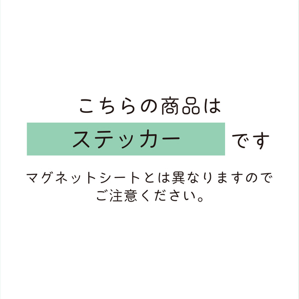 【送料無料】RECステッカー ブラック【再剥離タイプ耐水耐候】 2枚目の画像