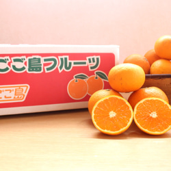 ＜家庭用＞清見オレンジ4.5kg　★1箱専用 1枚目の画像