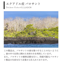 希少聖なる樹 パロサント　香木　10g1〜2本「ペルー産」 5枚目の画像