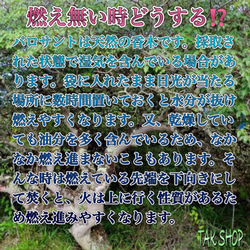希少聖なる樹 パロサント　香木　10g1〜2本「ペルー産」 4枚目の画像