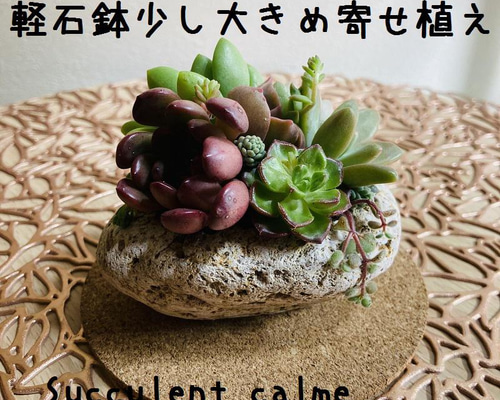 送料無料！No.57☆軽石鉢少し大きめ多肉寄せ植え☆3月13日までの  