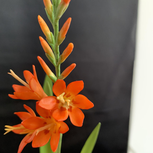 クレイフラワー ヒオウギ水仙 アートフラワー Aki 通販 13568058