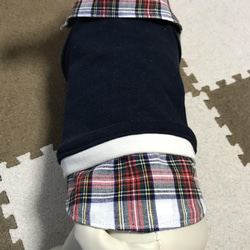 ☆犬服☆ タータンチェックのシャツ&ワンピース　ハンドメイド　オーダー 3枚目の画像