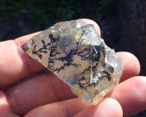 デンドリティッククォーツ原石 07 その他置物 stonetatsuya 通販