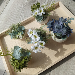 たまごのようなベルカップFlowerArrangement5個セット〜White＆Blue ギフト 母の日 イースター 7枚目の画像