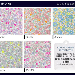 リバティ【カットクロス】生地「ネオンAB」アナベラ＆ベッツィ　5種セット　はぎれ　布　綿　LIBERTY 3枚目の画像