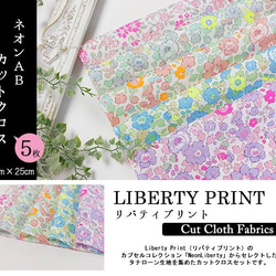 リバティ【カットクロス】生地「ネオンAB」アナベラ＆ベッツィ　5種セット　はぎれ　布　綿　LIBERTY 2枚目の画像