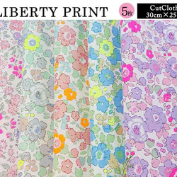 リバティ【カットクロス】生地「ネオンAB」アナベラ＆ベッツィ　5種セット　はぎれ　布　綿　LIBERTY 6枚目の画像