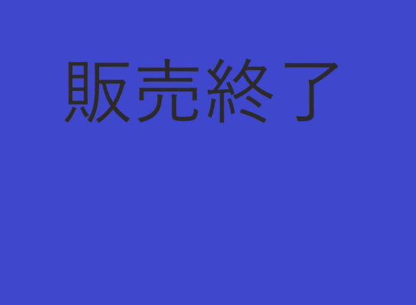 販売終了 1枚目の画像