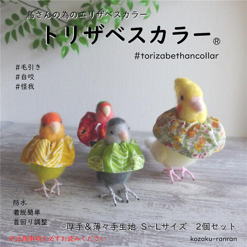 人気【トリザベスカラー】2個セット 残りLサイズのみ おもちゃ