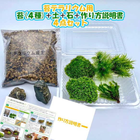 苔テラリウム 苔4種+用土+石+作り方説明書セット ハンドメイド テラリウム 母の日ギフト 新生活　 1枚目の画像