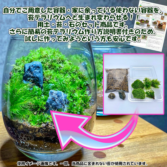 苔テラリウム 苔4種+用土+石+作り方説明書セット ハンドメイド テラリウム 母の日ギフト 新生活　 2枚目の画像