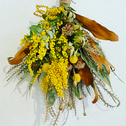 再販》⭐︎ミモザのスワッグ⭐︎ ドライフラワー blanc 通販 15265929