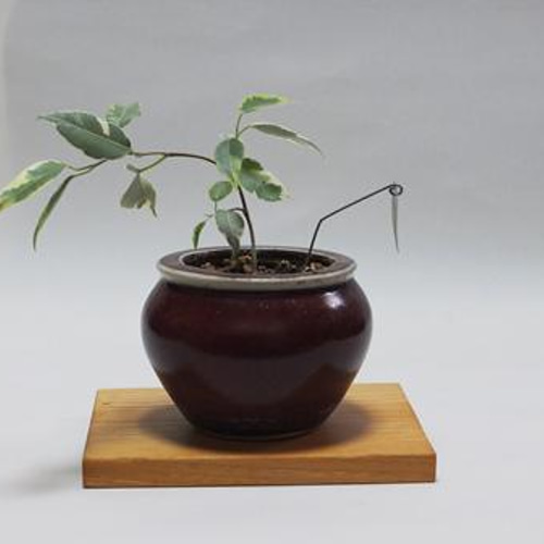 天然木花台・飾り台 No.1 欅の天然木 KD-34 その他インテリア雑貨 got 