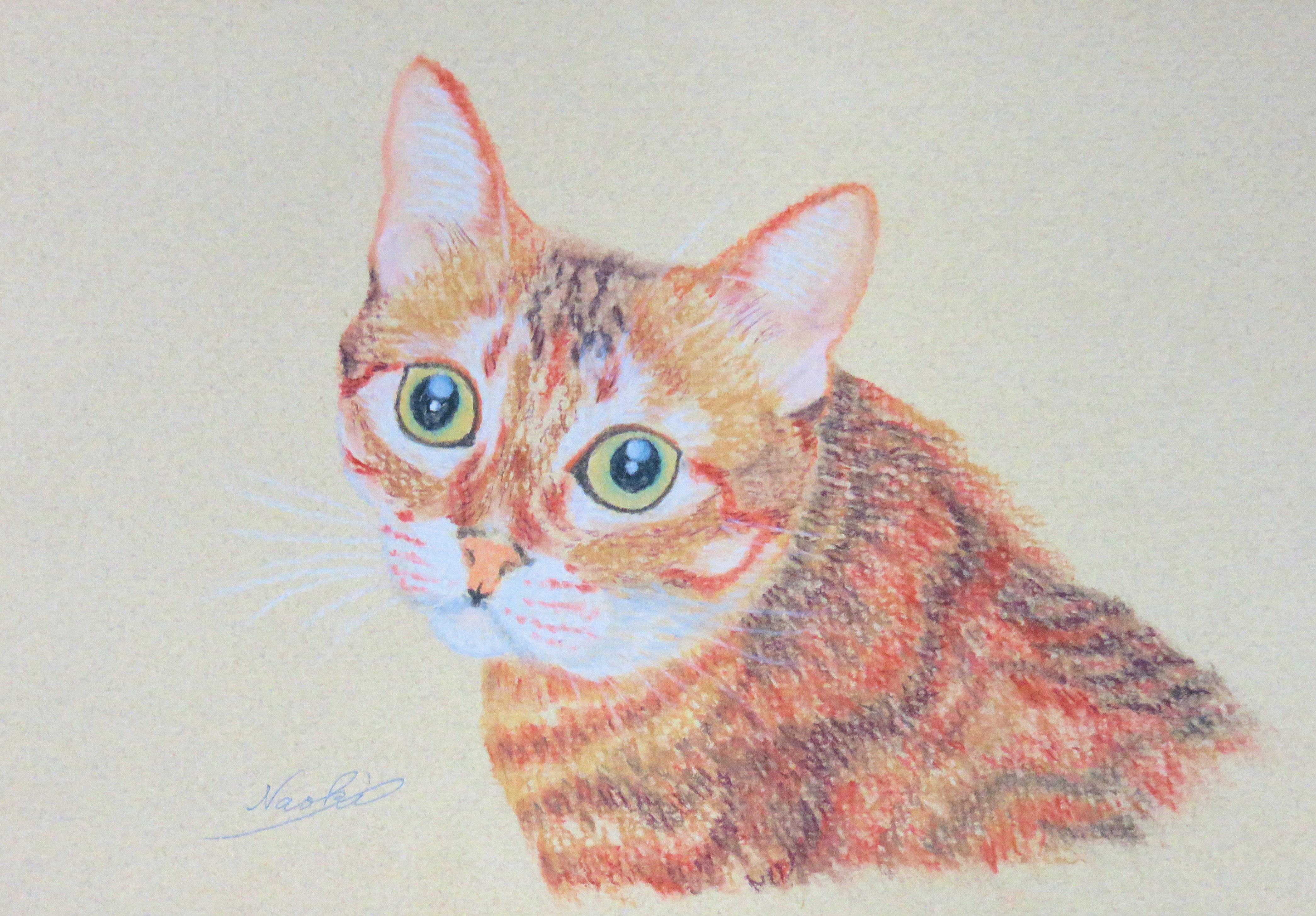 チャミロ様ペットの絵画オーダーです