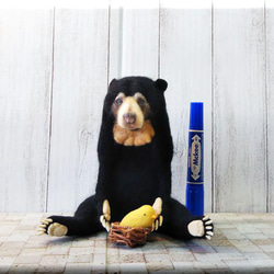 羊毛フェルト　熊　マレーグマ　クマ　くま　動物フィギュア 3枚目の画像