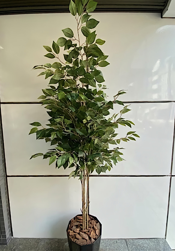 光触媒　人工観葉植物　ウォールグリーン　フェイクグリーン　ベンジャミン16016 光触媒 人工観葉植物 高さ120cm ベンジャミン フェイクグリーン 水やり