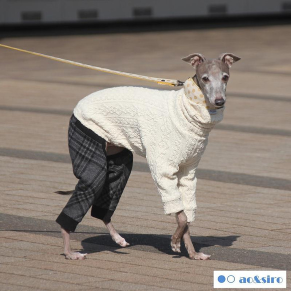 イタグレ服☆縄編みアランシャーリングニット×チェックパンツの