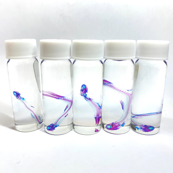 DWK Life Sciences 標本瓶 80mL 242090207 1個 1-8396-01（直送