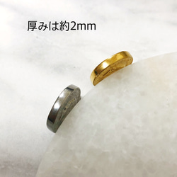 金属アレルギー対応　コインネックレス　ヘルヴェティア女神　リバーシブルコインネックレス　サージカルステンレス316Ｌ 6枚目の画像