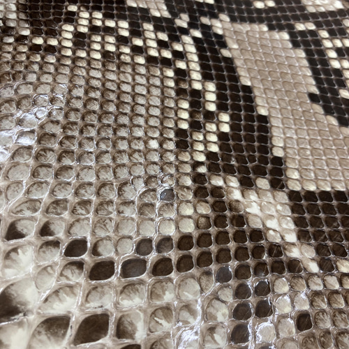 パイソン ヘビ革 ナチュラル×ツヤ 一枚革_P14 その他素材 レザー販売