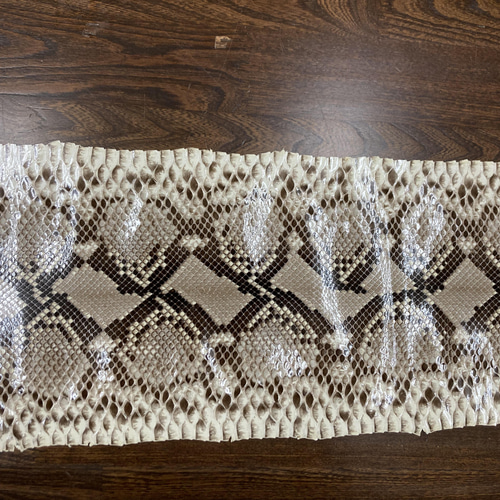 美品/希少✨ TOMCAT LEATHER コート パイソン ヘビ革 ベージュ系 美品