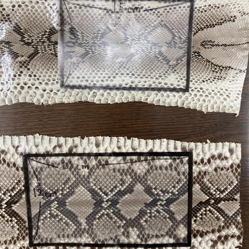 パイソン ヘビ革 ナチュラル×ツヤ 一枚革_P14 その他素材 レザー販売